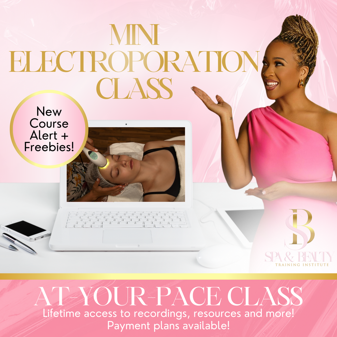 Mini-Electroporation Class