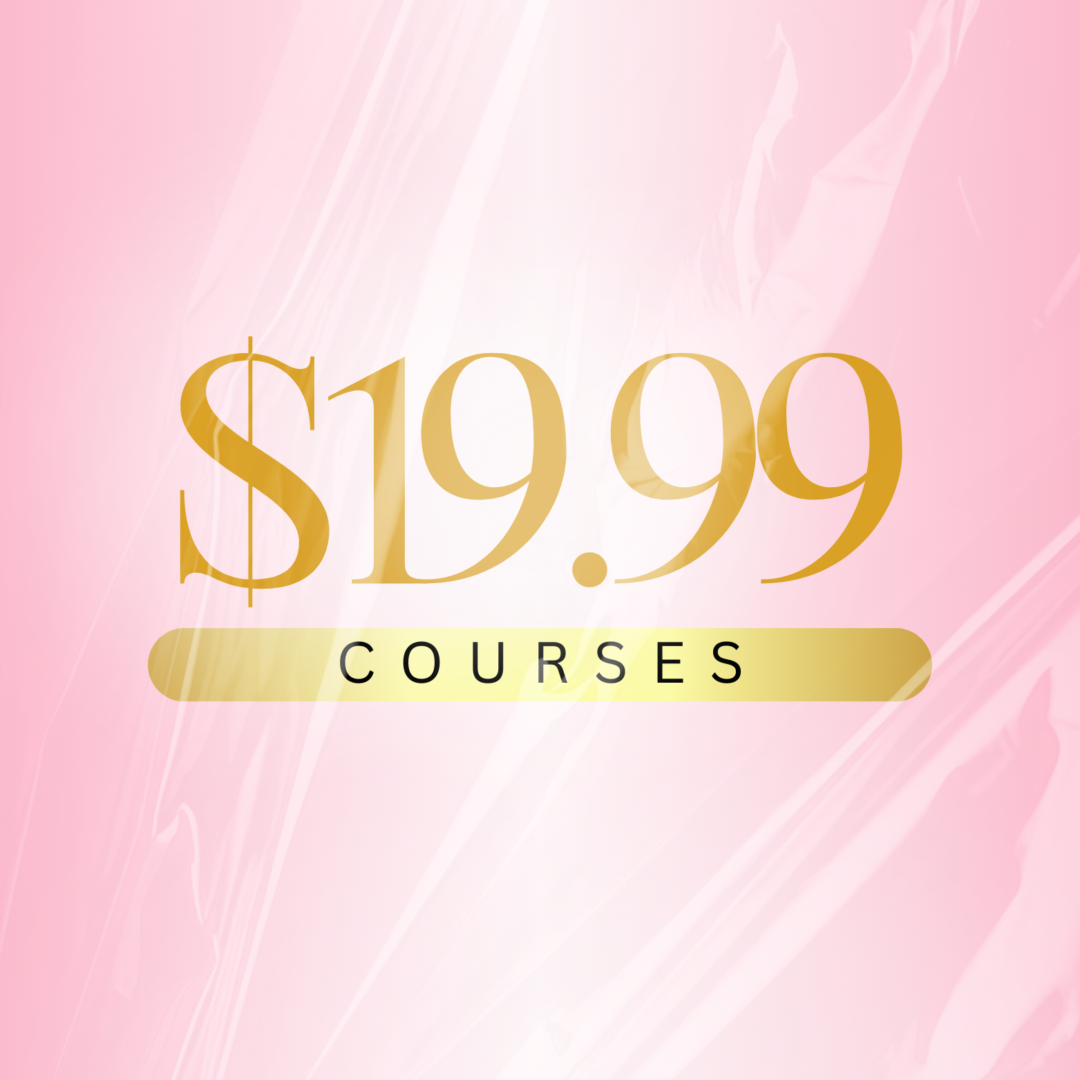 $19.99 Courses